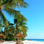 Zanzibár utazás: a sziget kihagyhatatlan látványosságai